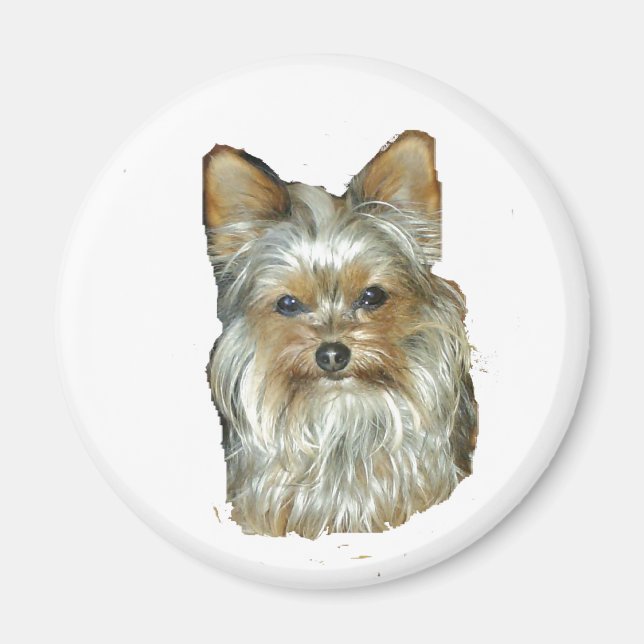 Dog 4B,Yorkshire Terrier,Magnet Magnet (Front)