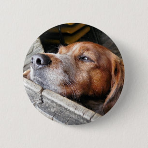 DOG 6 CM ROUND BADGE