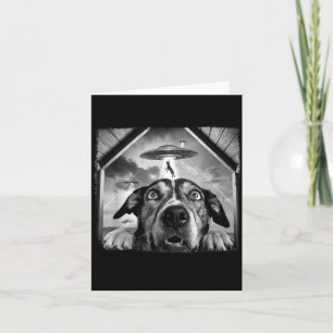 Dog Abducted Card