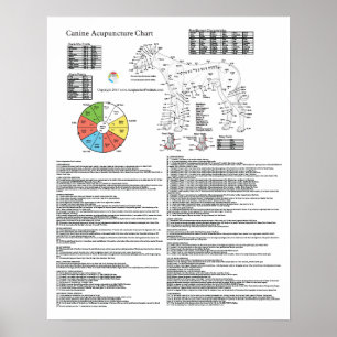 Dog Acupressure Acupuncture Chart