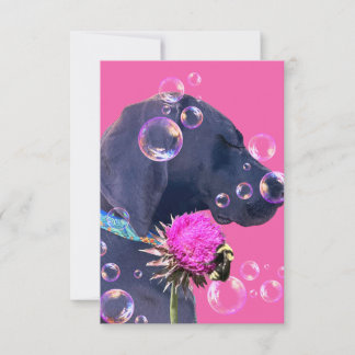 Dog Adoption Beautiful Thank You Card