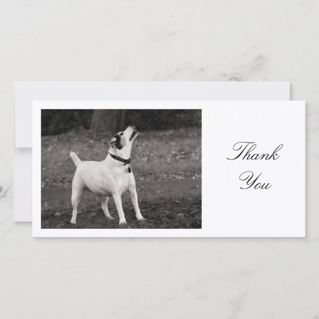 Dog Agog - Thank You Card (Front)