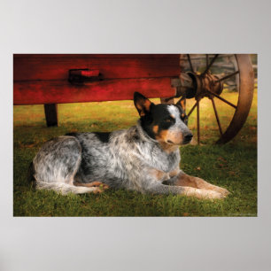 Dog - Always Faithful Poster