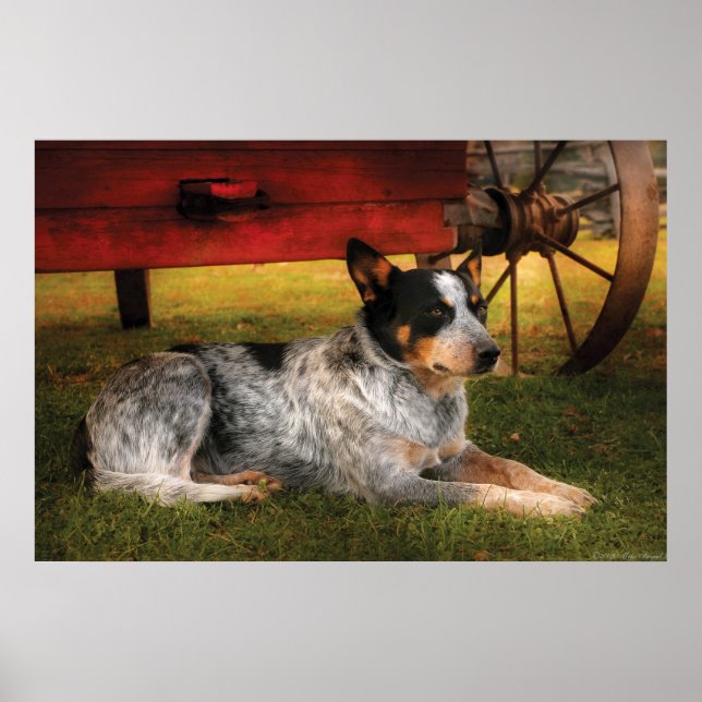 Dog - Always Faithful Poster (Front)