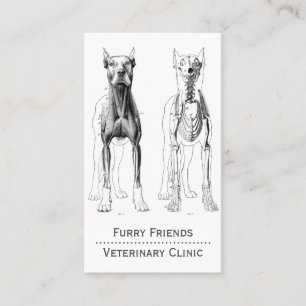 Dog Anatomical Illustration Veterinarian Appointment Card