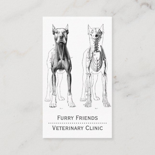 Dog Anatomical Illustration Veterinarian Appointment Card (Front)