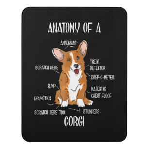 Dog Anatomy , Cute Welsh Corgi Puppy Biology Gift. Door Sign