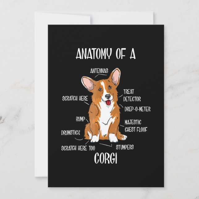 Dog Anatomy , Cute Welsh Corgi Puppy Biology Gift. Holiday Card (Front)