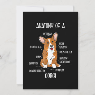 Dog Anatomy , Cute Welsh Corgi Puppy Biology Gift. Holiday Card
