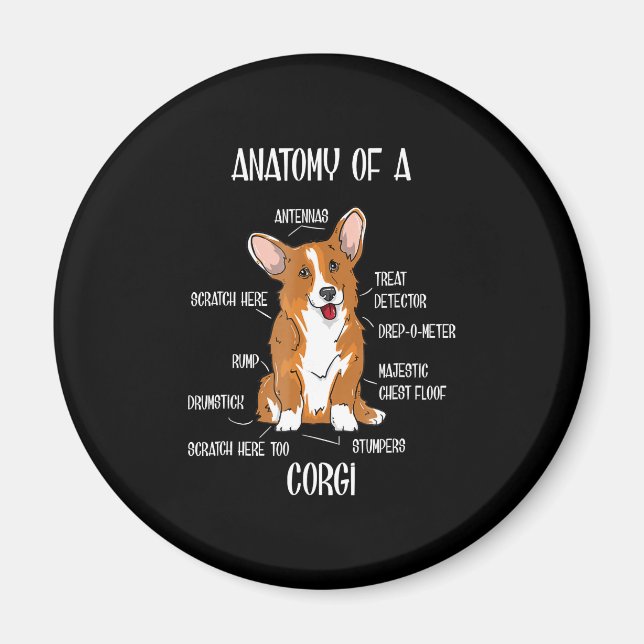 Dog Anatomy , Cute Welsh Corgi Puppy Biology Gift. Magnet (Front)
