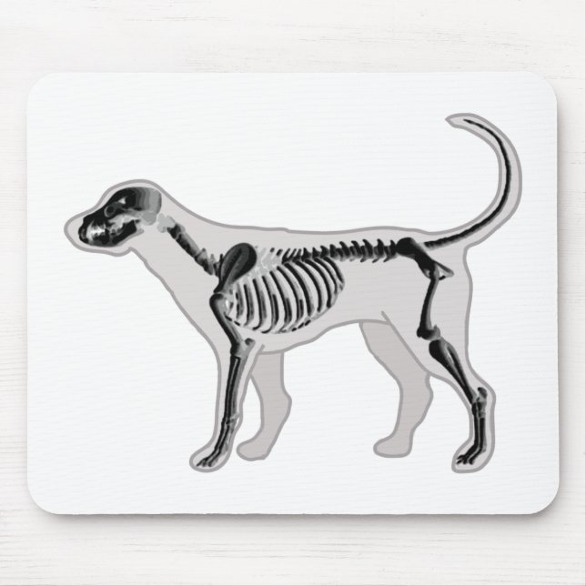 DOG ANATOMY X-RAY VET MOUSE MAT (Front)
