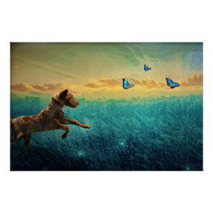 Dog And Butterfly Poster