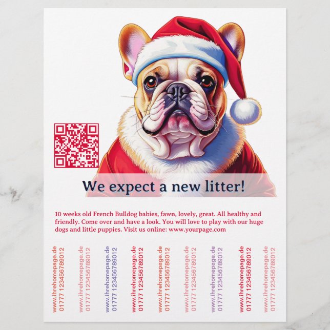 Dog and cat flyer (Front)