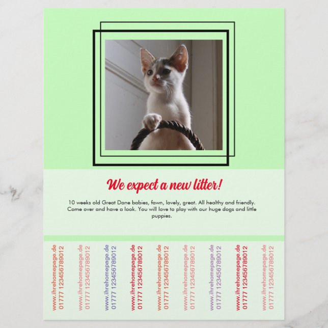 Dog and cat flyer (Front)