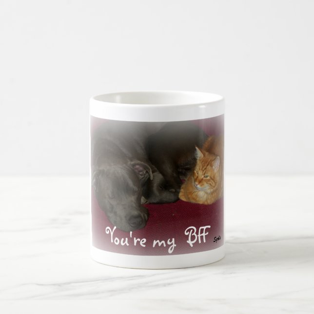 Dog and Cat  Friends Forever Mug (Center)