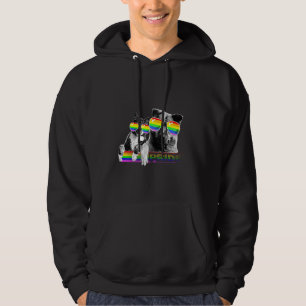 Dog And Cat Gay Pride Flag Sunglasses Lgbt Hoodie