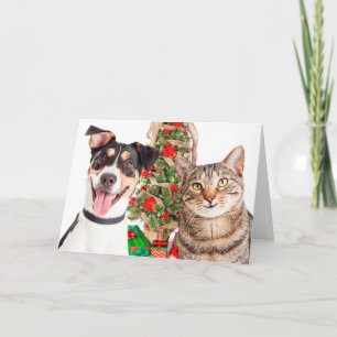 Dog and Cat Happy Holidays Holiday Card