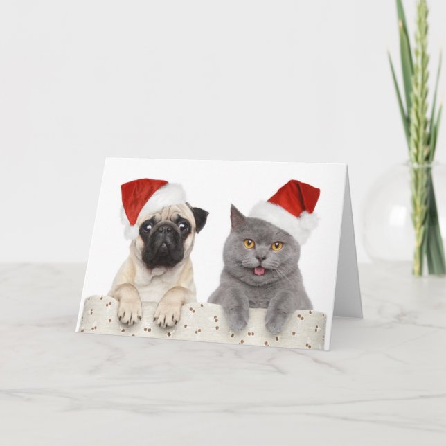 Dog And Cat In Red Christmas Hat Holiday Card (Front)