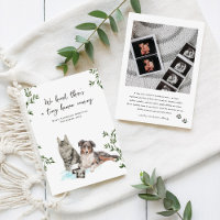 Dog and Cat Pregnancy Announcement