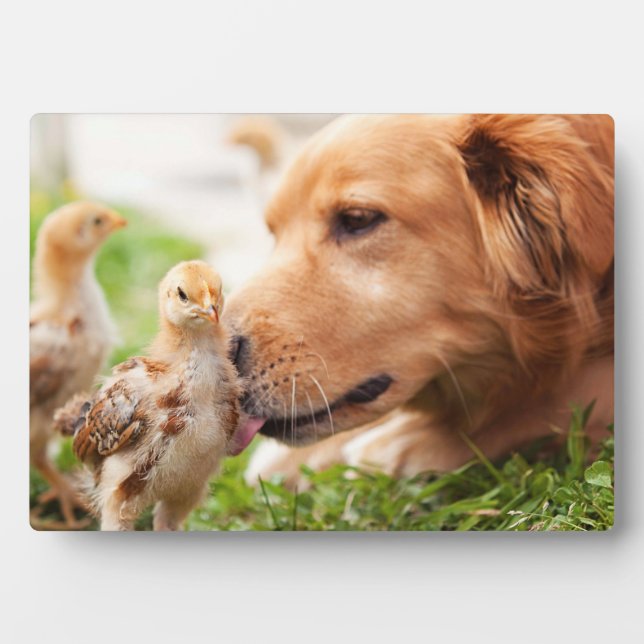 Dog and Chick Plaque (Front)