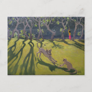 Dog and Monkey 1998 Postcard