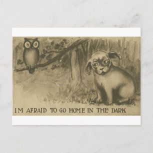 dog and owl postcard
