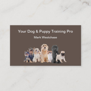 Dog And Puppy Training Appointment Business Cards