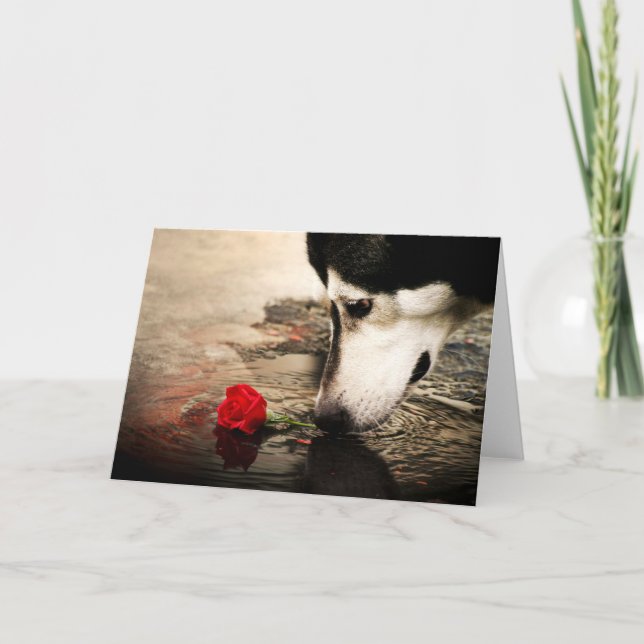 Dog and Red Rose Card (Front)