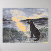 Dog and seascape at sunset.
