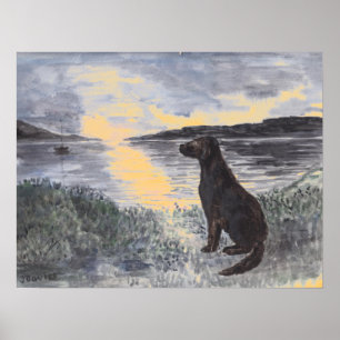 Dog and seascape at sunset. poster