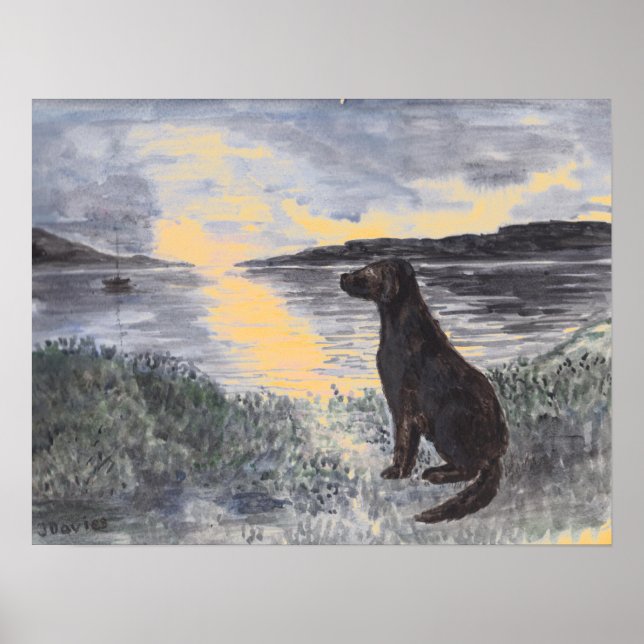 Dog and seascape at sunset. poster (Front)