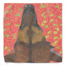 Dog and strawberry