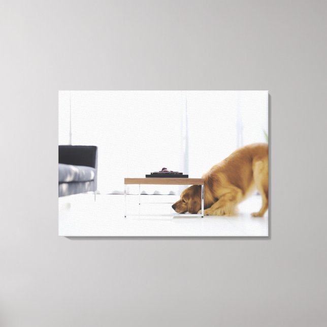 Dog and table canvas print (Front)