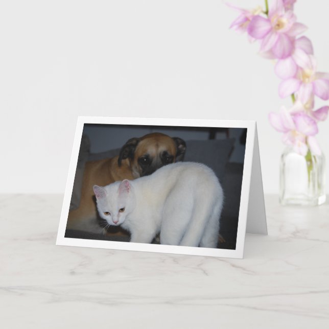 Dog and White Kitten Portrait Card (Orchid)