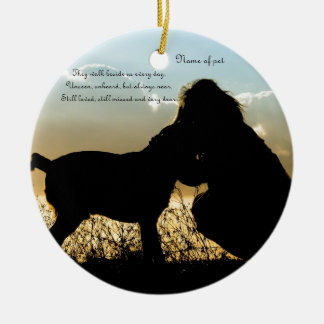 Dog and Woman in Sunset Ceramic Tree Decoration