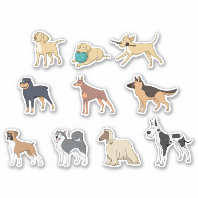 dog animal (Front)