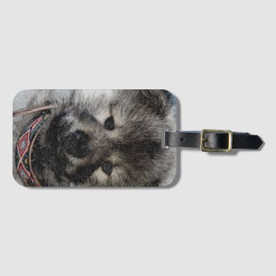 Dog, Animal, Tenderness eurasier Luggage Tag