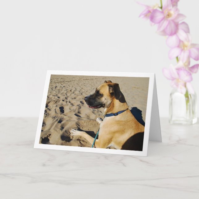 Dog at Beach Card (Orchid)