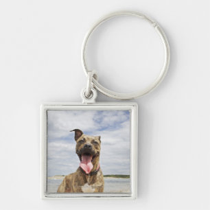 dog at beach key ring