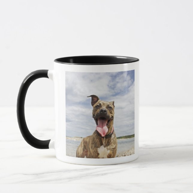 dog at beach mug (Left)