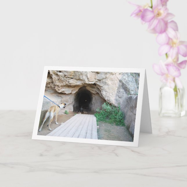 Dog at Cave Card (Orchid)