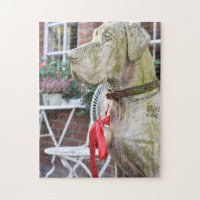 Dog at Christmas on Pavilion Road, London, England