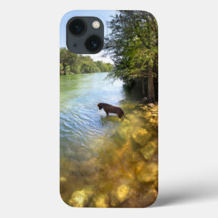 Dog at Ladybird Lake - Downtown Austin Texas iPhone 13 Case