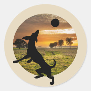 Dog at play classic round sticker