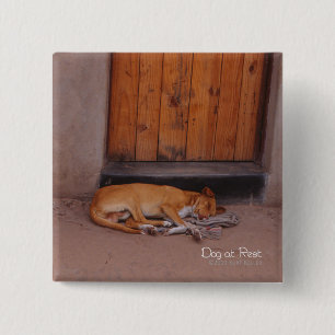 Dog at Rest 15 Cm Square Badge