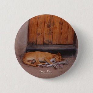 Dog at Rest 6 Cm Round Badge