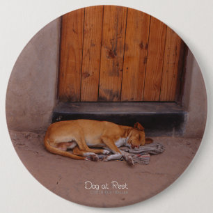 Dog at Rest 6 Cm Round Badge