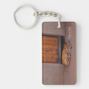 Dog at Rest Key Ring