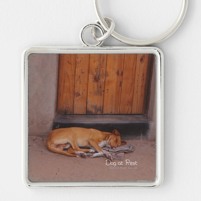 Dog at Rest Key Ring (Front)