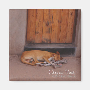 Dog at Rest Magnet